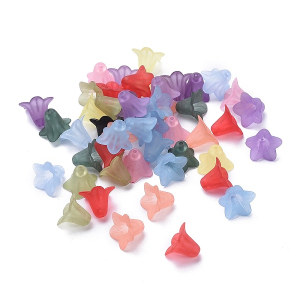 

PandaHall Transparent Acrylic Beads, Frosted, Flower, Mixed Color, 17.5x12mm, Hole: 1.5mm, about 770pcs/500g Acrylic Flower Multicolor