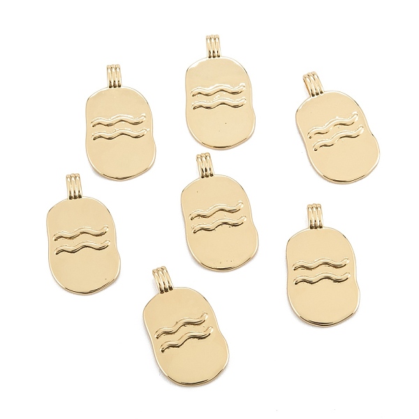 

PandaHall Brass Pendants, Long-Lasting Plated, Oval with Constellation, Real 18K Gold Plated, Aquarius, 24x12.5x2mm, Hole: 3.5x1.5mm Brass...
