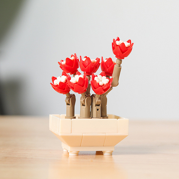 

PandaHall Plastic Succulent Flowers Plant Building Blocks DIY Toy Set, Succulents Bonsai Model, for Gift Home Decor, Red, 55x55x90mm Plastic...