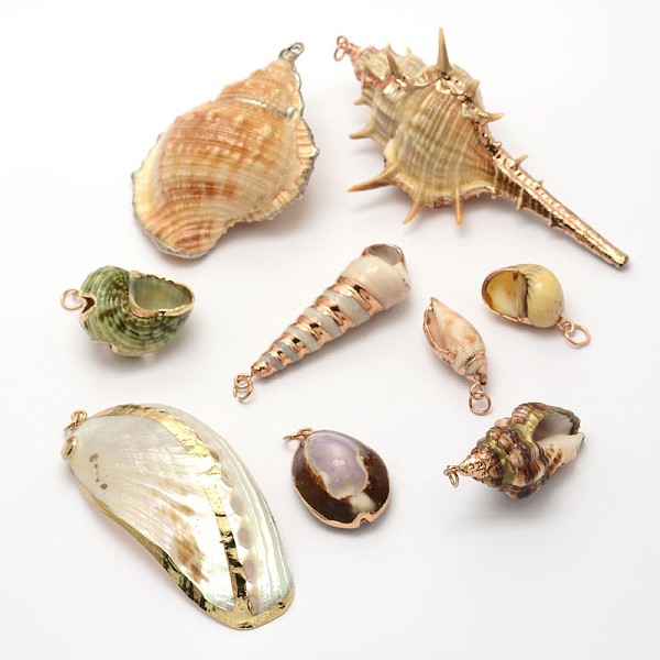 

PandaHall Mixed Shapes Natural Spiral Shell Pendants, 23~86x14~42x12~30mm, Hole: 3~4mm Shell Mixed Shapes Multicolor