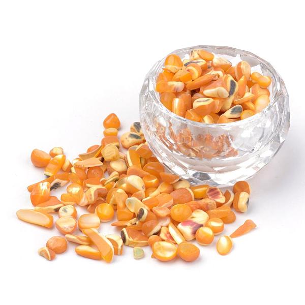 

PandaHall Natural Sea Shell Beads, No Hole, Dyed, Chip, Orange, 2~15x2~10x1~5mm Other Sea Shell Chip Orange