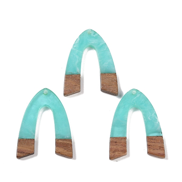 Resin & Wood Pendan… - image