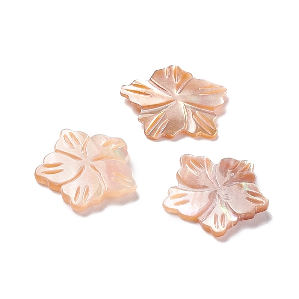 

PandaHall Sea Shell Cabochons, Flower, Sandy Brown, 13x14x1.5mm Sea Shell Flower