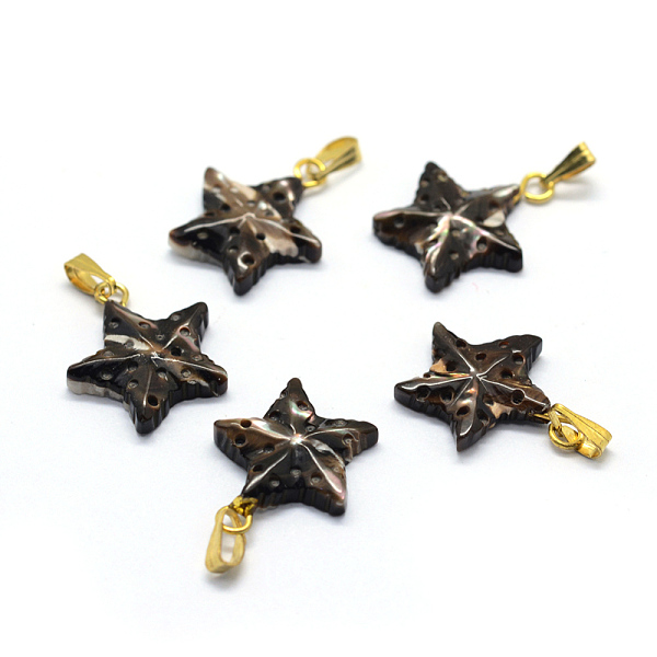 

PandaHall Shell Pendants, with Brass Findings, Star, Dyed, Golden, 18~19x14~15x3~5mm, Hole: 2x5mm Shell Star