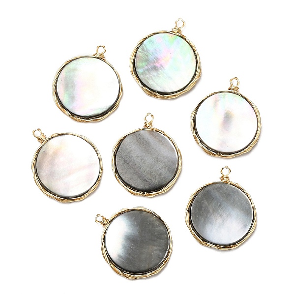

PandaHall Natural Black Lip Shell Pendants, Copper Wire Wrapped Flat Round Charms, Real 14K Gold Plated, 26~26.5x22~22.5x4mm, Hole: 1.5mm...