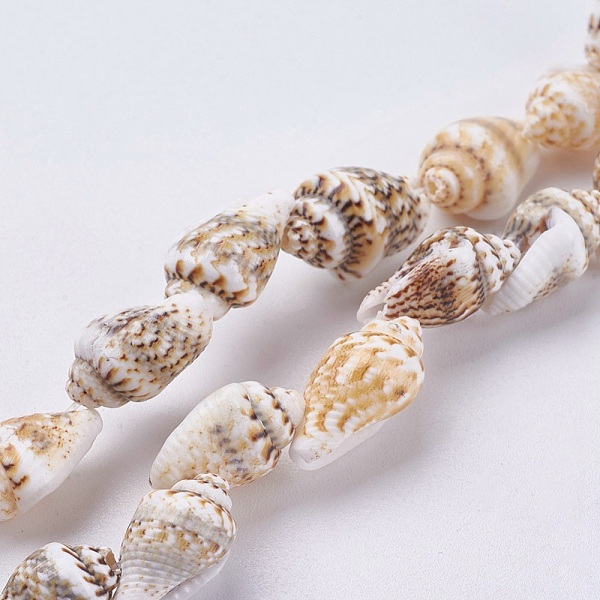 

PandaHall Natural Sea Shell Beads Strands, Shell, 11~14x6.5~9x6~7.5mm, Hole: 1~1.2mm, about 39~42pcs/strand, 15.1 inch~15.5 inch. Other Sea...