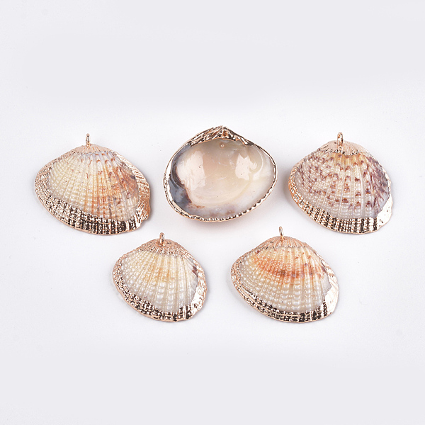 

PandaHall Electroplate Sea Shell Pendants, with Iron Findings, Light Gold, Seashell Color, 27~34x31~38x9~11mm, Hole: 1mm Other Sea Shell...