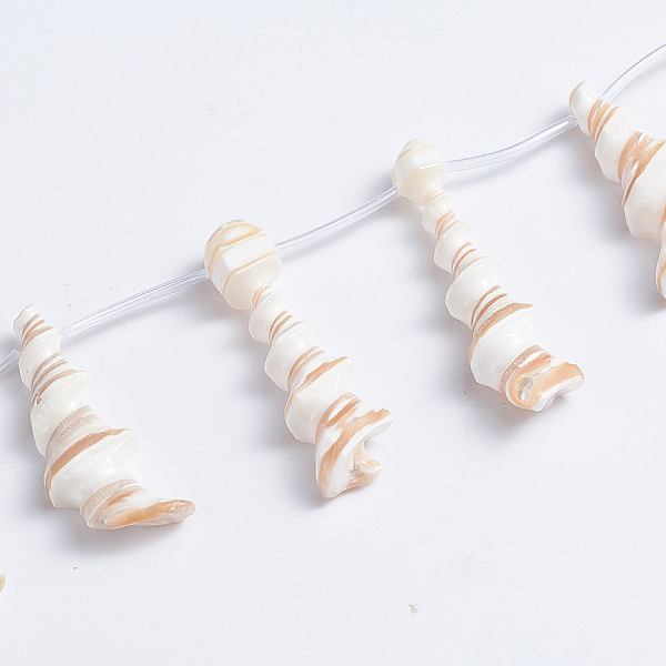 

PandaHall Natural Trochid Shell/Trochus Shell Beads Strands, Top Drilled Beads, Spiral, 21~53x10~20x6~7mm, Hole: 0.5mm, about 14pcs/strand...