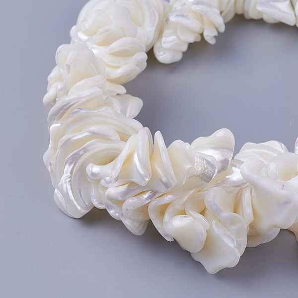

PandaHall Natural Shell Beads Strands, Nuggets, 2.5~25x15~42x7~30mm, Hole: 1.4mm, about 16.25 inch(41.3cm) Other Sea Shell Nuggets