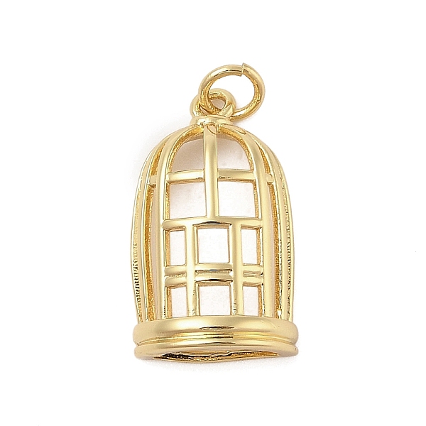 Hollow Cage Rack Pl… - image
