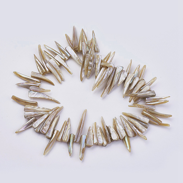 

PandaHall Natural Shell Beads Strands, Nugget Stick, Peru, 22~40x5~9x1mm, Hole: 1mm, about 80pcs/strand, 14.56 inch(37cm) Other Sea Shell..., Brown