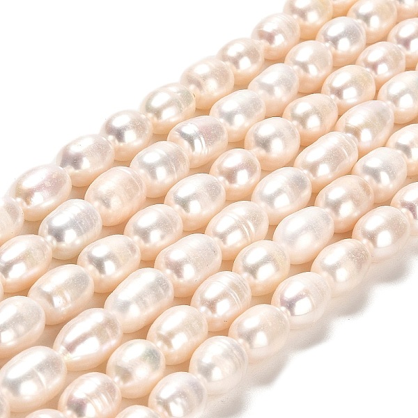 

PandaHall Natural Cultured Freshwater Pearl Beads Strands, Rice, Grade AA, Lime, 8~11x7~7.5mm, Hole: 0.7mm, about 35~36pcs/strand, 13.39''..., Green