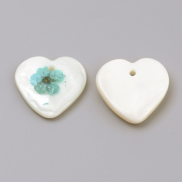 

PandaHall Freshwater Shell Pendants, with Dried Flower Inside, Heart, Mixed Color, 19x19.5x4.5mm, Hole: 1.5mm Freshwater Shell Heart..., Multicolor