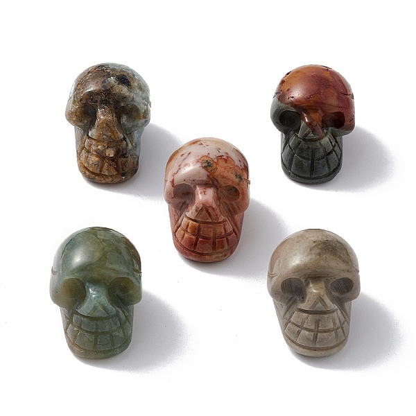 

PandaHall Natural Ocean Jasper Display Decoration, for Home Office Tabletop, Skull, 18~23x17~23.5x23~26mm Ocean Jasper Skull