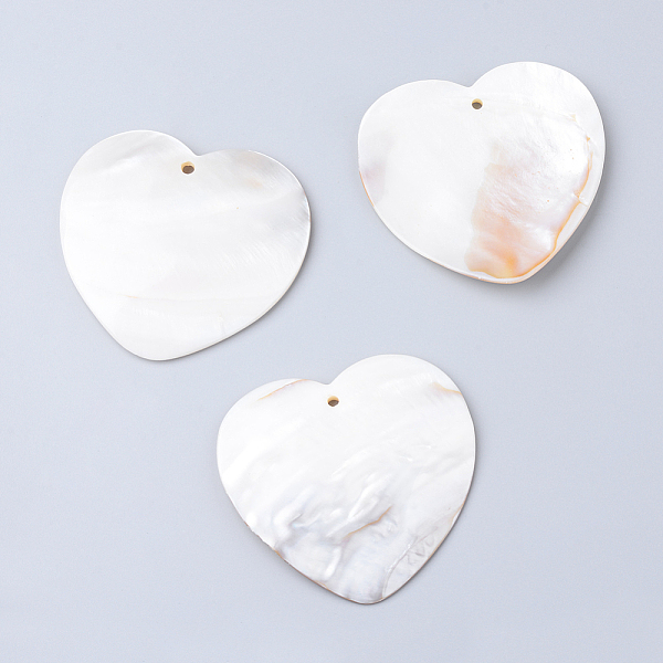 Freshwater Shell Bi… - image