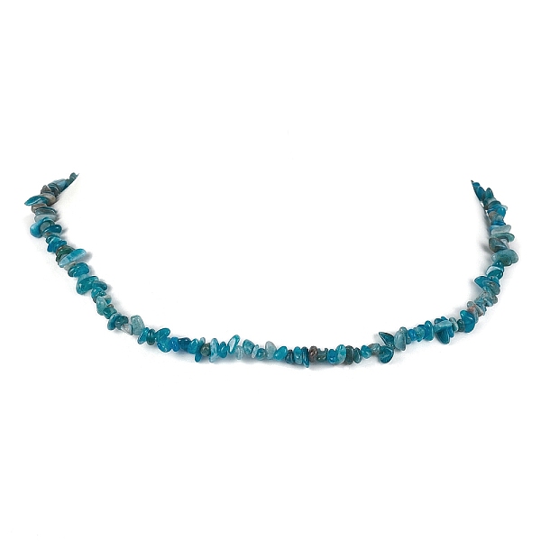 

PandaHall Natural Apatite Chip Beaded Necklace, Stainless Steel Color, 15.94~15.98 inch(40.5~40.6cm) Apatite Chip