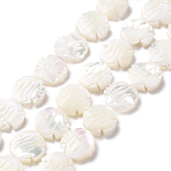 

PandaHall Natural Trochid Shell Beads Strands, Fish, White, 13x13x3.5mm, Hole: 0.5mm, about 31pcs/strand, 15.83 inch(40.2cm) Trochus Shell...