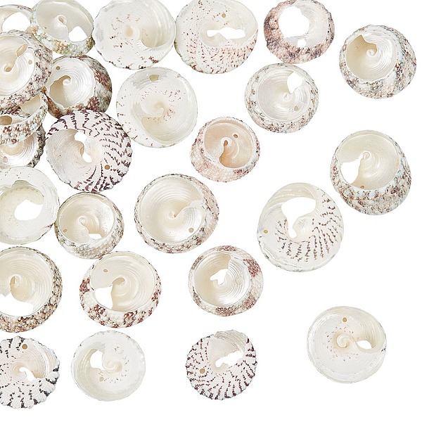 

PandaHall Natural Spiral Shell Beads, Lemon Chiffon, 20~25x5~8mm, Hole: 0.5~1mm, about 30pcs/box Spiral Shell Shell Shape Yellow