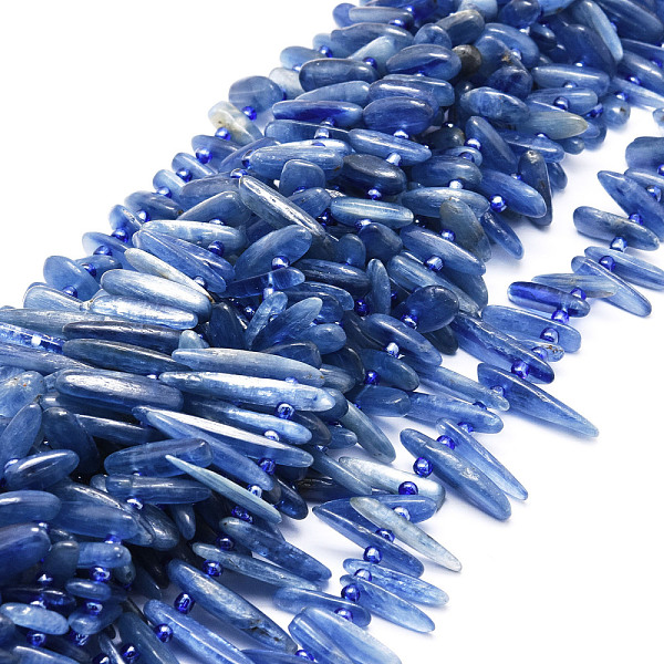 

PandaHall Natural Kyanite Beads Strands, Nuggets, 9.5~30x4.5~7.5x1.5~5mm, Hole: 0.8mm, about 80pcs/strand, 15.75 inch(40cm) Kyanite Nuggets