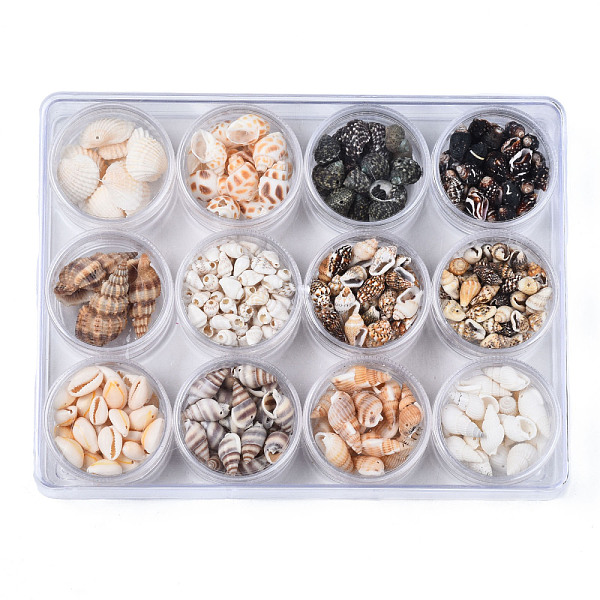 

PandaHall Sea Shell Pendants, Mixed Color, 10~40x7~21x5~17mm, Hole: 0.8mm, about 27~39g/bottle, 12bottle/box Other Sea Shell Shell Shape..., Multicolor