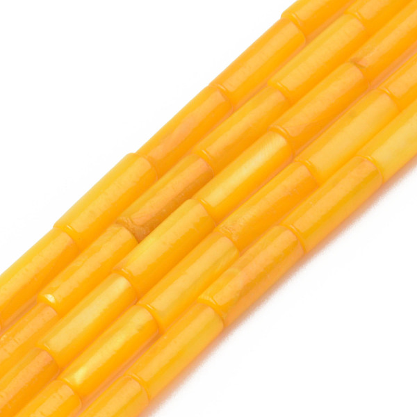 

PandaHall Natural Freshwater Shell Beads Strand, Dyed, Column, Orange, 9x3mm, Hole: 0.8mm, about 38pcs/strand, 16.93 inch(43cm) Freshwater...