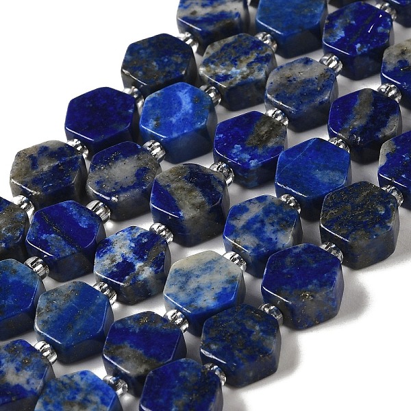 

PandaHall Natural Lapis Lazuli Beads Strands, Hexagon, with Seed Beads, 8.5~9x8.5~10x4~5mm, Hole: 1mm, about 17~18pcs/strand, 7.48''(19cm)...
