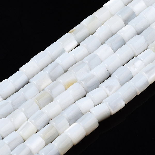 

PandaHall Natural Freshwater Shell Beads Strands, Column, 3x3mm, Hole: 0.9mm, about 135~139pcs/strand, 15.04 inch~15.55 inch(38.2~39.5cm)...