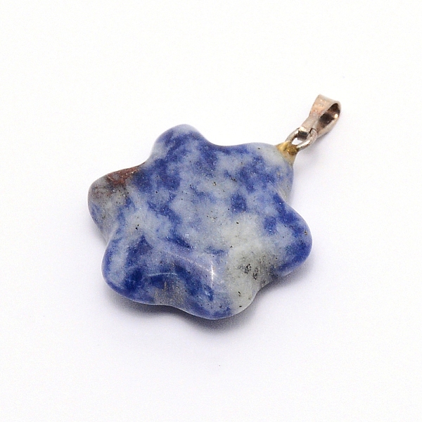

PandaHall Natural Sodalite Pendants, with Stainless Steel Fiding, Flower, 25x19x6mm, Hole: 2.5x6mm Sodalite Flower