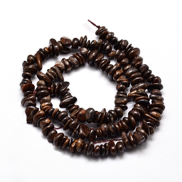 

PandaHall Natural Bronzite Chip Beads Strands, 4~14x4~12mm, Hole: 1mm, about 15.3 inch~16.1 inch Bronzite Chip