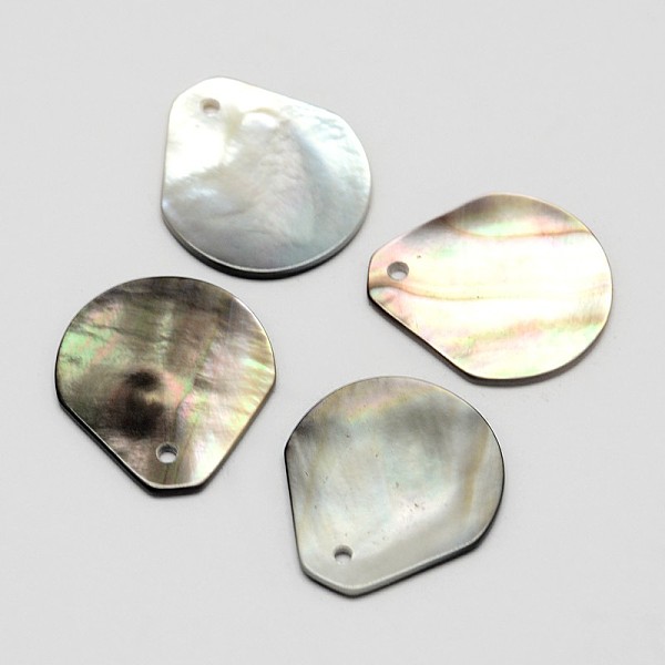 

PandaHall Teardrop Black Lip Shell Pendants, Mixed Color, 19x17x1mm, Hole: 1mm Black Lip Shell Teardrop Multicolor