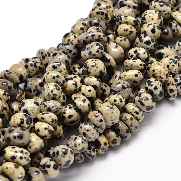 

PandaHall Natural Dalmatian Jasper Gemstone Nuggets Bead Strands, Tumbled Stone, 6~10x9~12x8~10mm, Hole: 1mm, about 15.3 inch~15.7 inch...