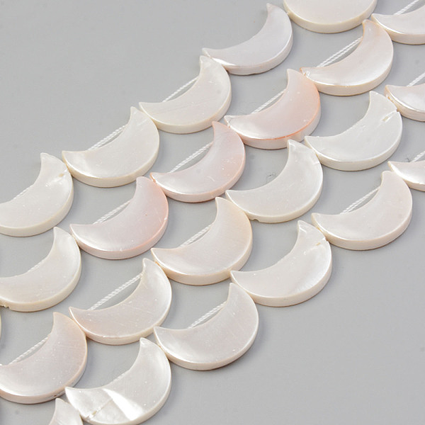 

PandaHall Electroplate Natural Freshwater Shell Beads Strands, Moon, Seashell Color, 21x14~15.5x3mm, Hole: 1mm, about 19pcs/strand, 15.55...