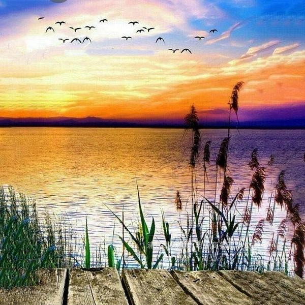 

PandaHall DIY Natural Scenery Diamond Painting Kits, including Resin Rhinestones, Diamond Sticky Pen, Tray Plate and Glue Clay, Colorful..., Orange