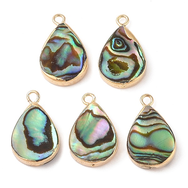 Natural Paua Shell … - image