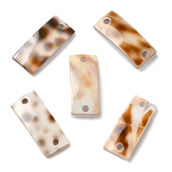 

PandaHall Natural Spiral Shell Connector Charms, Curved Rectangle Links, 19x8x1.8~3mm, Hole: 1.6mm Shell Rectangle