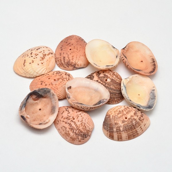 

PandaHall Dyed Natural Shell Beads, Sandy Brown, 32~37x20~29x8~10mm, Hole: 1mm, about 100pcs/500g Other Sea Shell Shell Shape Brown
