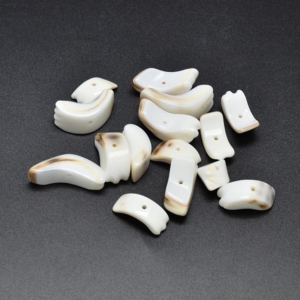 

PandaHall Natural Tiger Cowrie Shell Nuggets Chips Beads, PapayaWhip, 11~28x5~10x4~9mm, Hole: 1mm, about 220~300pcs/500g Tiger Cowrie Shell..., Orange