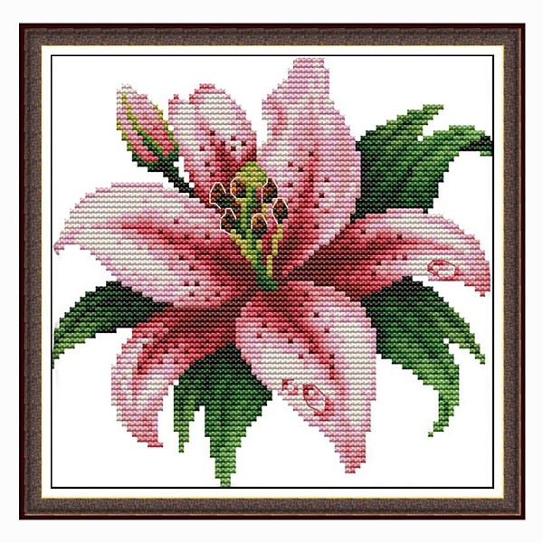 

PandaHall Lily Pattern DIY Cross Stitch Beginner Kits, Stamped Cross Stitch Kit, Including 11CT Printed Cotton Fabric, Embroidery Thread &..., Multicolor