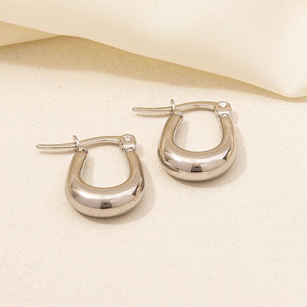 

PandaHall Stylish Stainless Steel Hoop Earrings for Women Stainless Steel