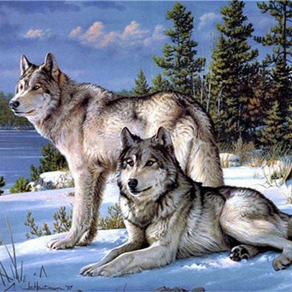 DIY Wolf & Scenery Diamond Painting Kits