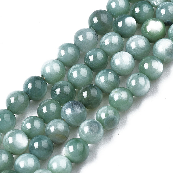 

PandaHall Natural Freshwater Shell Beads Strands, Dyed, Round, Light Sea Green, 2.5~3.5mm, Hole: 0.5~0.6mm, about 122~136pcs/strand, 14.57...
