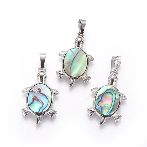 Abalone Shell/Paua … - image