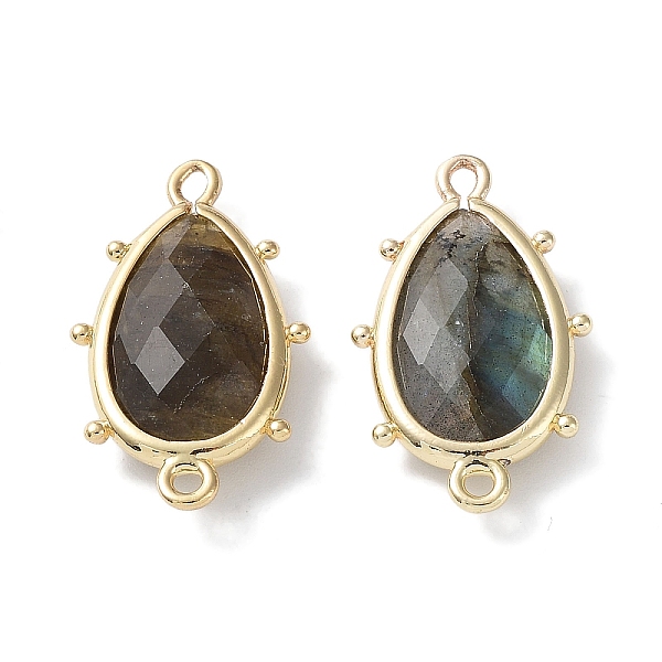 

PandaHall Natural Labradorite Connector Charms, with Golden Plated Brass Edge Loops, Faceted, Teardrop, 24x14.5x5mm, Hole: 1.2mm & 1.4mm...