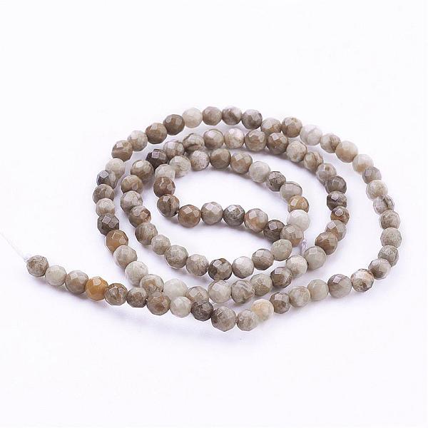 

PandaHall Natural Silver Leaf Jasper Beads Strands, Round, Faceted, 4mm, Hole: 1mm, about 98pcs/strand, 15.7 inch(40cm) Silver Leaf Jasper...