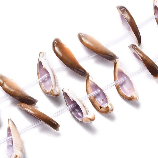 

PandaHall Natural Freshwater Shell Beads Strands, Tooth Shape, Seashell Color, 23~31x9.5~13x3~6mm, Hole: 1.2mm, about 23pcs/strand, 14.57...