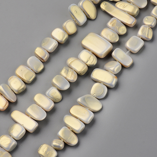 

PandaHall Spray Painted Natural Freshwater Shell Beads Strands, Shell Shards, Chip, Pale Goldenrod, 5~9x8~26x3~6mm, Hole: 0.8mm, about..., Yellow