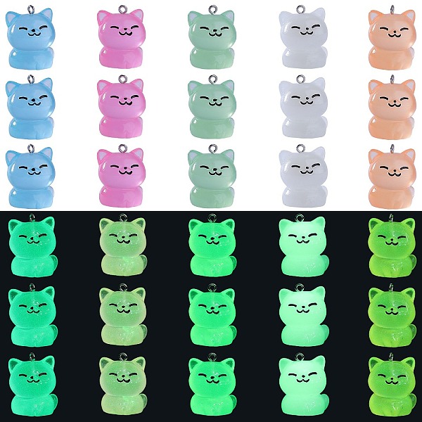 

PandaHall 30Pcs 5 Colors Luminous Transparent Resin Pendants, Glow in the Dark 3D Cat Charms, with 304 Stainless Steel Loops, Mixed Color..., Multicolor