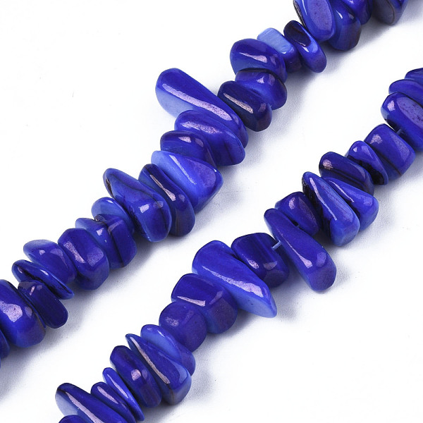 

PandaHall Natural Trochid Shell/Trochus Shell Beads Strands, Dyed, Chips, Medium Blue, 7~22x5~8x1~6.5mm, Hole: 1mm, about 96~111pcs/strand...