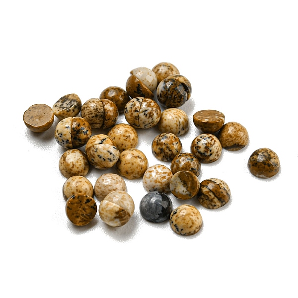

PandaHall Natural Picture Jasper Cabochons, Half Round, 4x2~2.5mm Picture Jasper Half Round