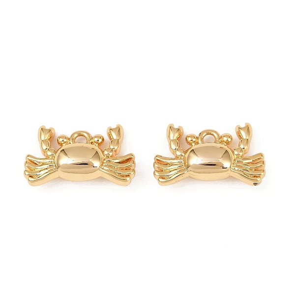Ocean Theme Brass Charms